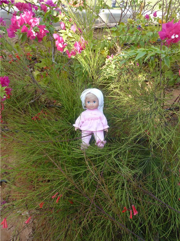 Кукольный шок или Светланка в Арабских Эмиратах