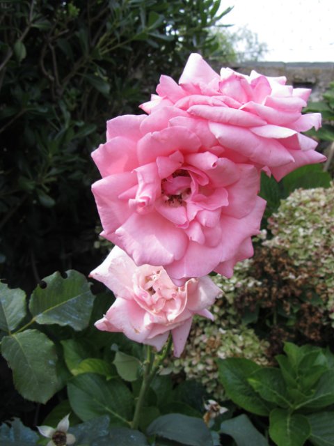 Моя Италия. Часть 2 - Леванто, Манарола