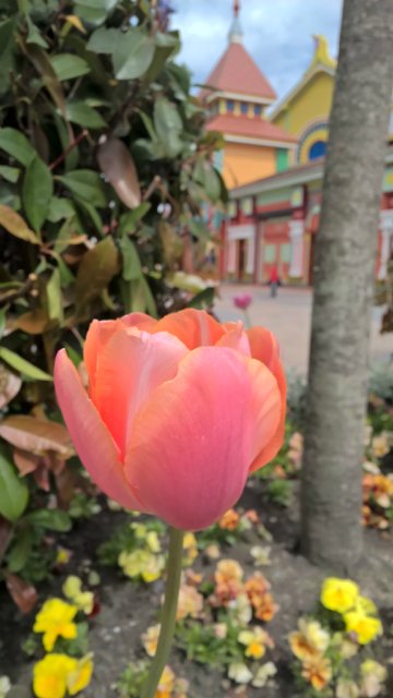 Сочи-парк, или, Русский Диснейленд. Часть 2