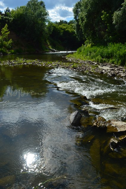 Вихтели в Тарусе. Леон и Кристель от Schildkroet