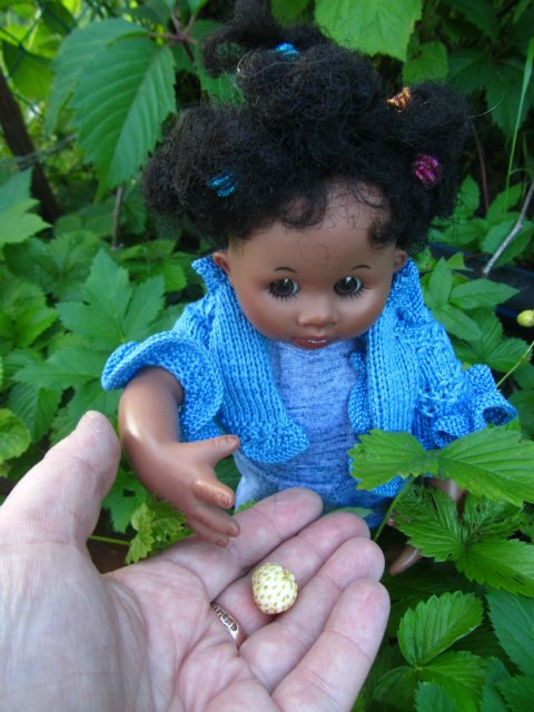 Мишельки на даче. Куклы Rosemarie Anna Muller (фото 6)