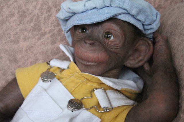 Гога, он же Гоша,он же Гора, он же Жора, здесь проживает? кукла реборн Элины Кудрявцевой