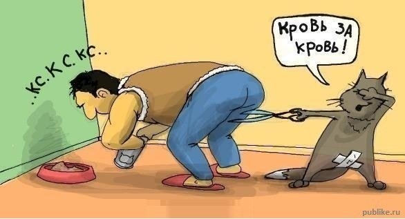 Кошачий позитив — Интересное и необычное: фотоподборки