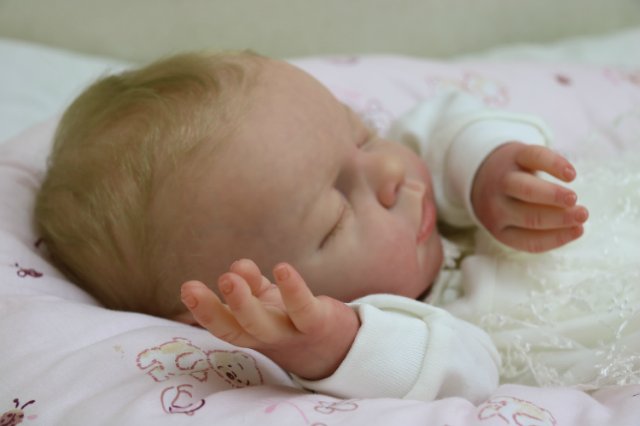 Ноашечка. Куколка реборн Виктории Вишни