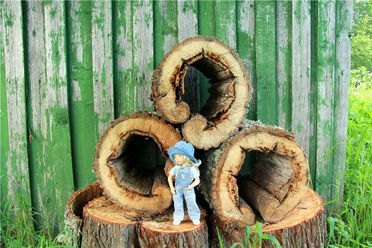 46-ой Пушкинский праздник поэзии в Берново. Часть первая