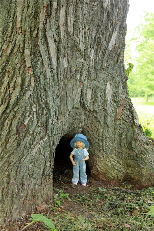 46-ой Пушкинский праздник поэзии в Берново. Часть первая