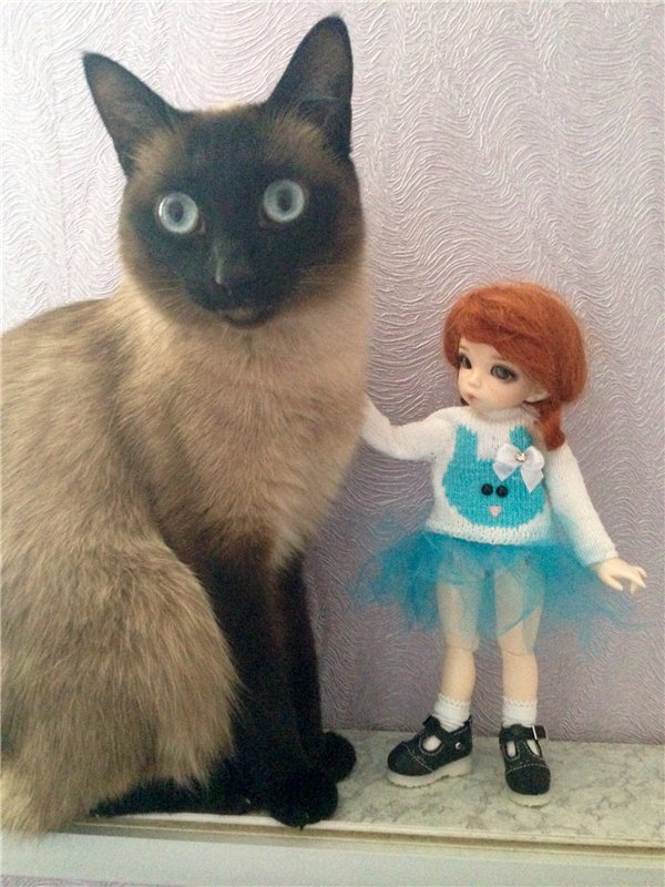 Ну как из меня балерина — Куклы Fairyland (ФэйриЛэнд): BJD (БЖД) (фото 10)