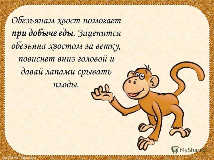 Когда я буду именинник, куплю я хвостик за полтинник. Мне продавец измерит рост и подберет по росту хвост (фото 7)