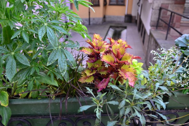 Очарование стринных французских городов