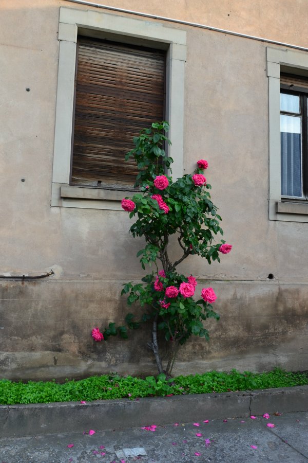 Очарование стринных французских городов