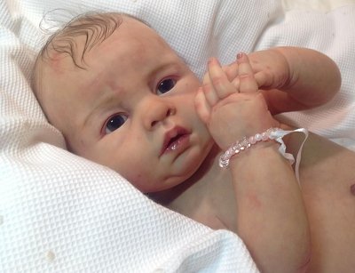 Молдик Lovelyn от Пинг Лау кто делал, какие трудности