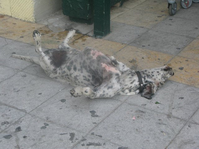 Кусочки моей Греции — Болталка и разговоры обо всем: жизнь