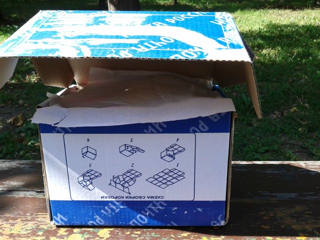 Первая встреча с Galoob Baby Face