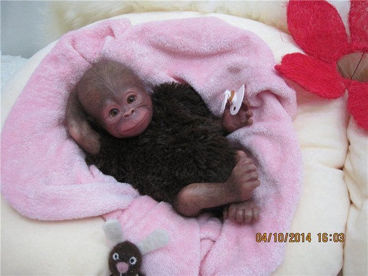 Отличное настроение! Реалики Муся и Тося