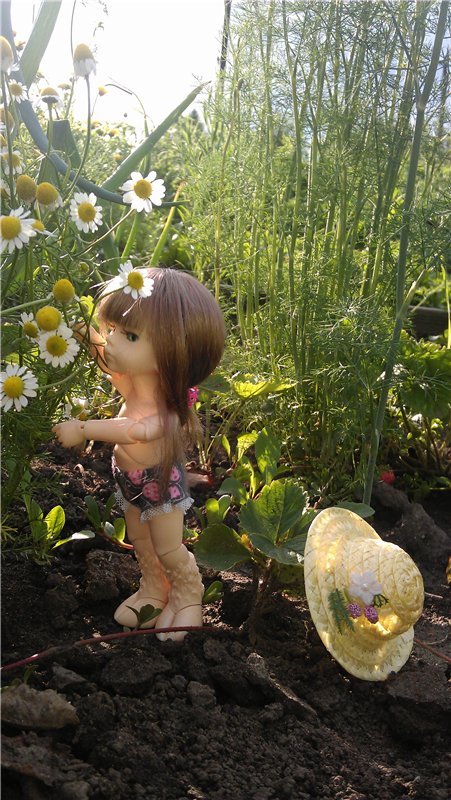 Немного лета в холода — Куклы Dollzone (Доллзон): BJD (БЖД) (фото 9)