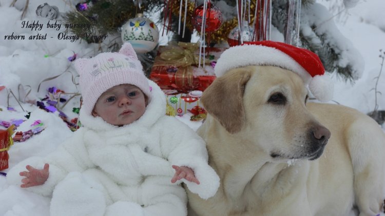 Моё предновогоднее чудо, моя Карлотта. Кукла реборн Олеси Венгер