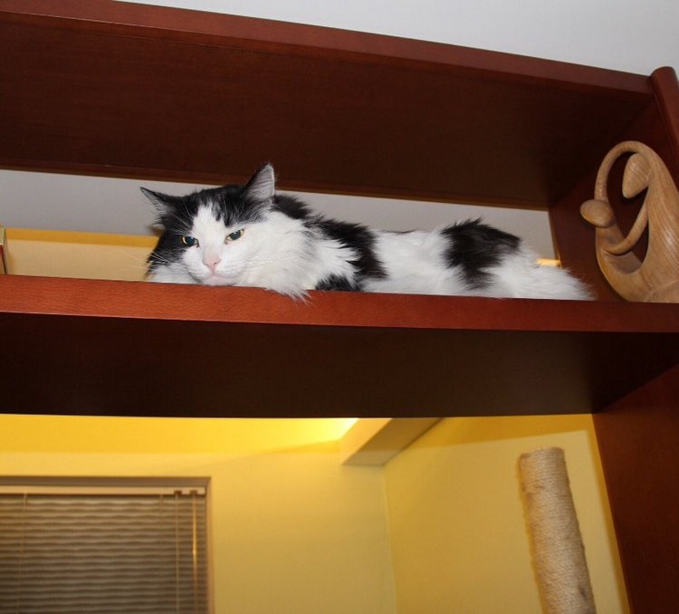 Уголочки мои драгоценные-2. Год спустя. Часть вторая, виниловая, авторская и всякая