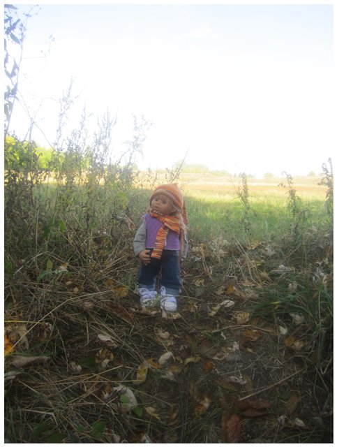 "Неприятный случай" или Ёжик, осень, грибочки. Wichtel, Rosemarie Anna Muller