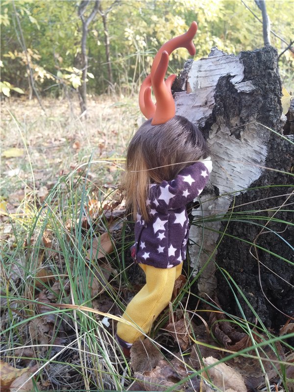 Осенний олененок — Куклы Fairyland (ФэйриЛэнд): BJD (БЖД)