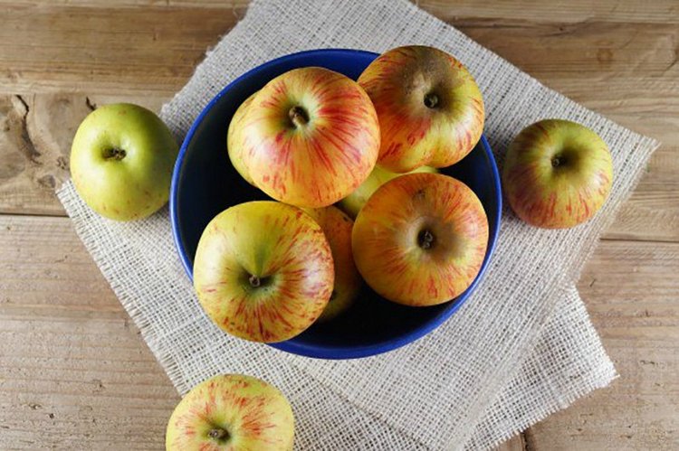 ЭНН ИЗ ЗЕЛЕНЫХ КРЫШ. ПОВАРЕННАЯ КНИГА. Рецепты из книги "Энн из Зеленых Крыш". Часть вторая (фото 7)