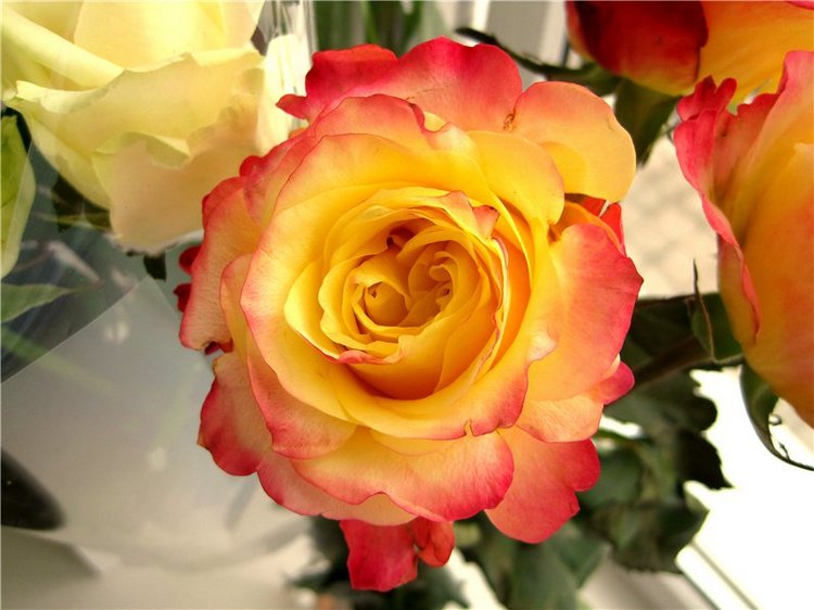 Как мы искали ручейки. Лерочка – коллекционная кукла Sissel Skille