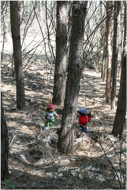 Небольшой поход Вихтелят на Ирдынские болота