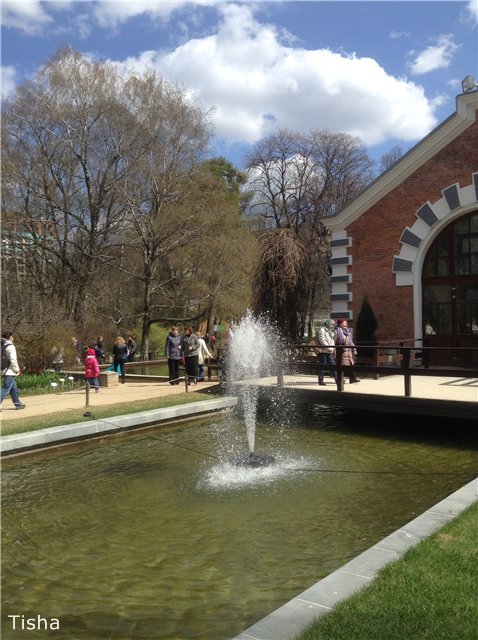 Маленькие садовники или весна в Аптекарском огороде