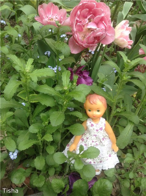 Куколки из Литовской ССР - малышки Неринги (фото 9)