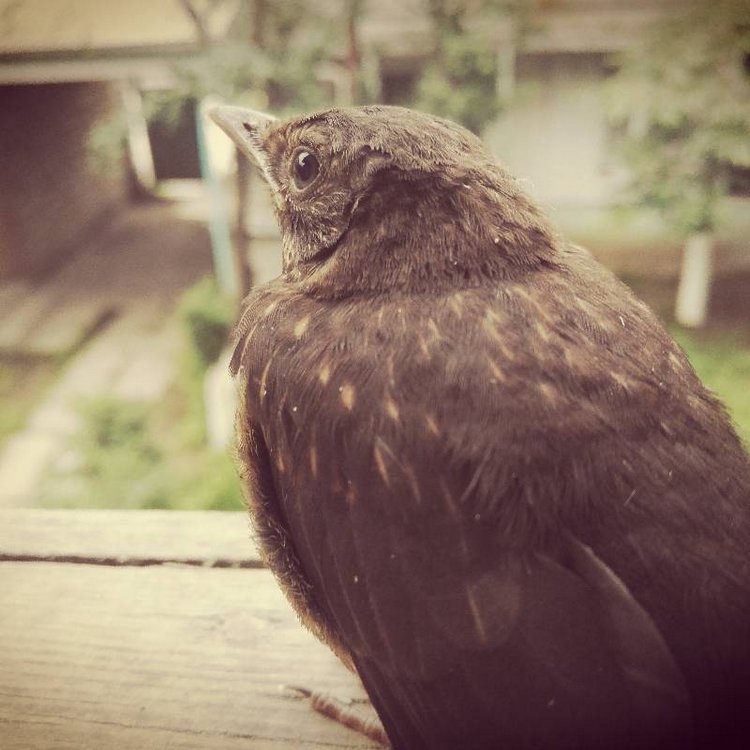 Те, кто нас любит и в домашнем халате, и без косметики, и растрепанными | Бэйбики Те, кто нас любит и в домашнем халате, и без косметики, и растрепанными