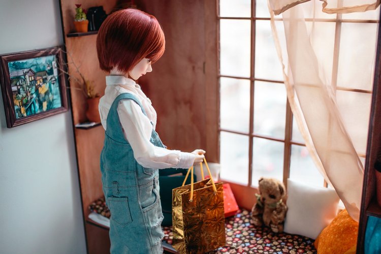 Неизвестный номер — Фотоистории с куклами BJD (БЖД): сериалы