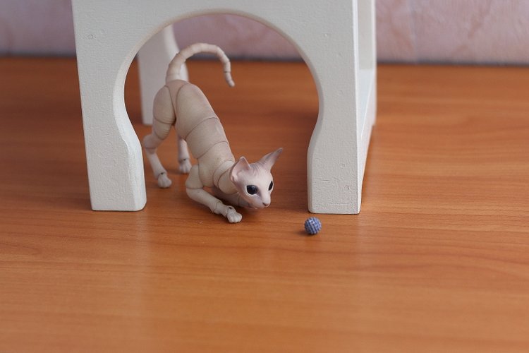 Кот играет с мячиком — Разные куклы BJD (БЖД): редкие бренды