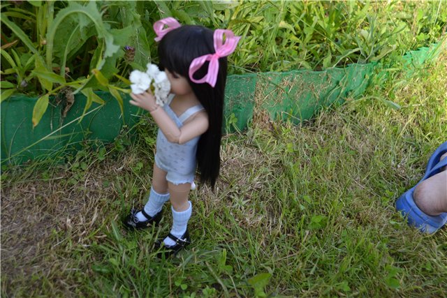 Поездка Евочки на дачу | Бэйбики Поездка Евочки на дачу — Куклы Iplehouse (Иплхаус): BJD (БЖД) (фото 6)