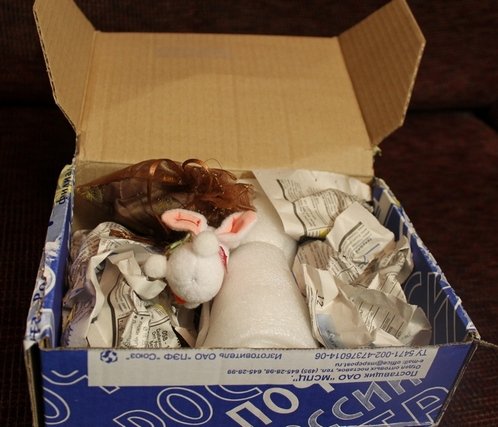 Как мы встречали братишку Гошу! (Цветуля-2). Fairies, Dollzone (фото 2)