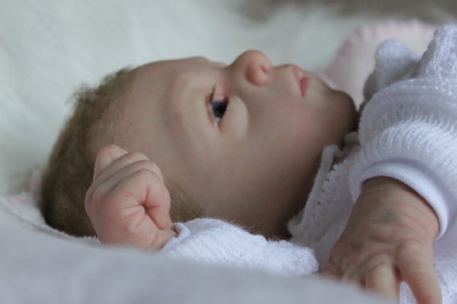 Розана - цветочек, роза... Куколка реборн Виктории Вишни