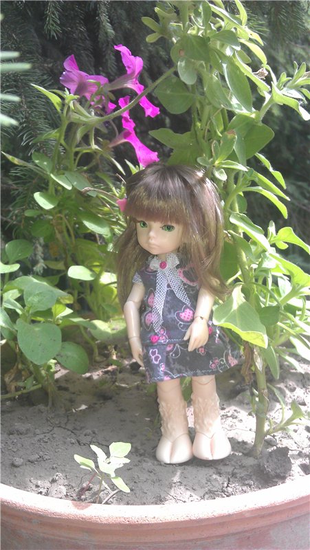 Маленький парк — Куклы Dollzone (Доллзон): BJD (БЖД)