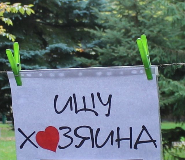 Фестиваль Котофест в Пятигорске. Куклы реборн Елены Ядриной (фото 8)