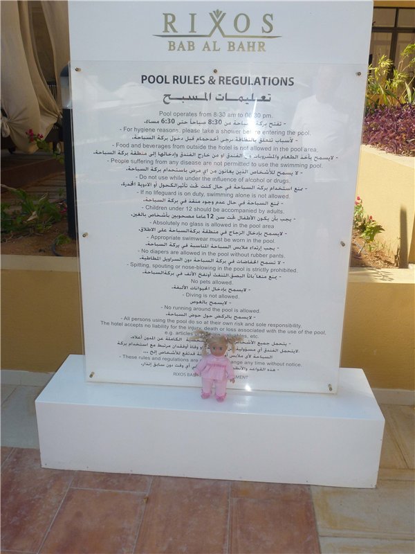 Кукольный шок или Светланка в Арабских Эмиратах (фото 6)