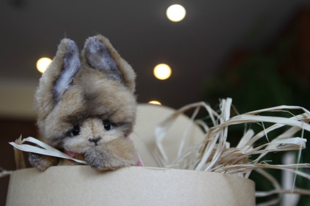 Зайка тедди Донни — Авторские мишки Тедди и друзья: фото