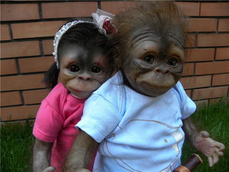 Необычное пополнение в моем доме