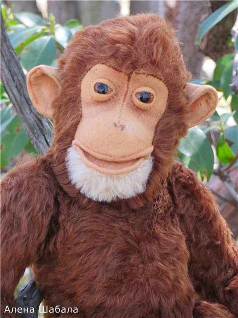 Старый Steiff. Яков и Матвей (фото 4)