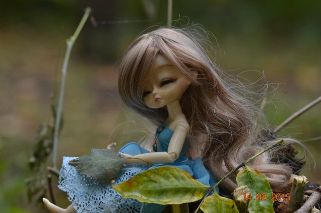 Осенний блюз. Hujoo — Худжики (фото 8)