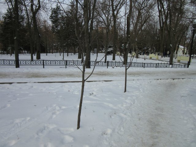 Чем бы заняться юному лорду 30 декабря