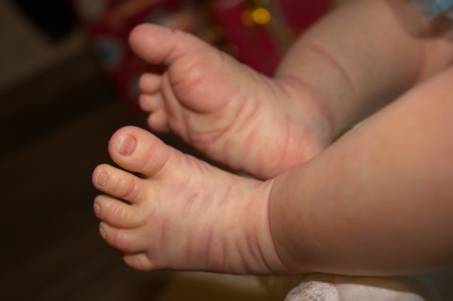 Послушная девочка реборн Лиза