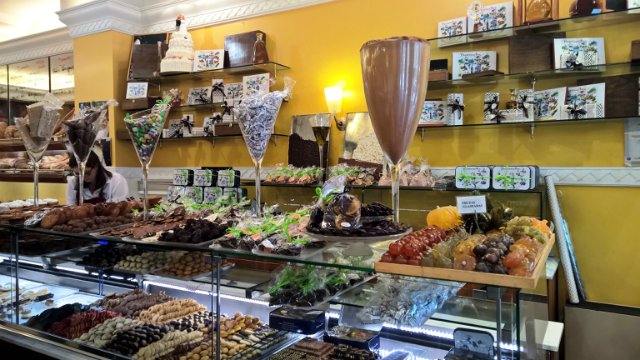 Пегий пёс, бегущий краем моря