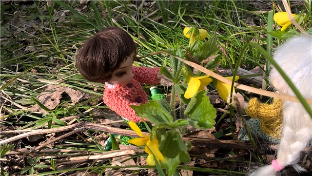 Весенняя работа лесных эльфов. Часть 2 (фото 10)