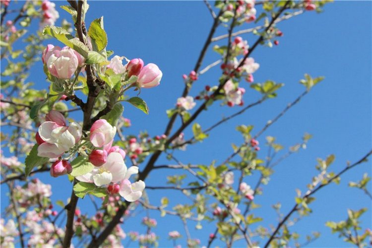 Субботний вояж. Заключительная часть