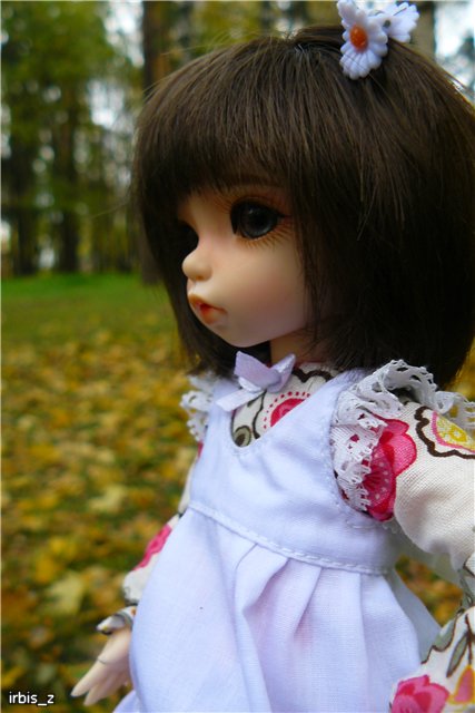 Вот так погуляли или Как у нас появилась кукла БЖД LittleFee Ante Elf