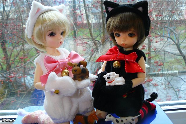 Планета Кошек. LittleFee Ante Elf Зарянка и LittleFee Leah Миланка | Бэйбики Планета Кошек. LittleFee Ante Elf Зарянка и LittleFee Leah Миланка