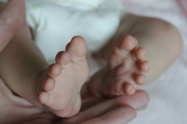 Розана - цветочек, роза... Куколка реборн Виктории Вишни (фото 3)