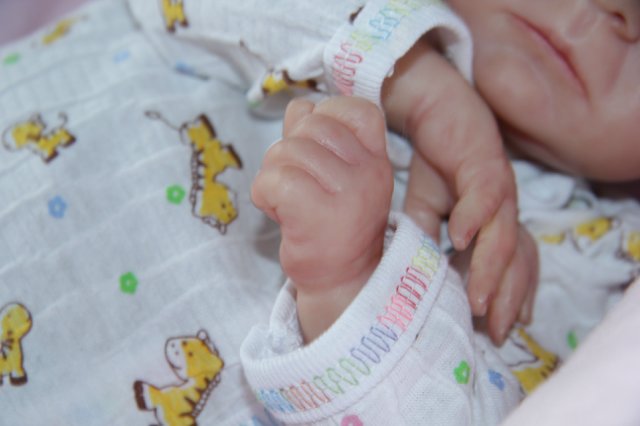 Penny. Кукла реборн Саутер Антонины